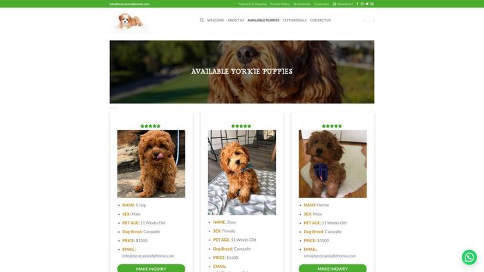 Bestcavoodlehome.com - Cavapoo Puppy Scam Review