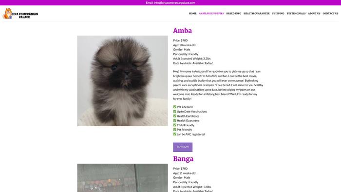 Binapomeranianpalace.com - Pomeranian Puppy Scam Review