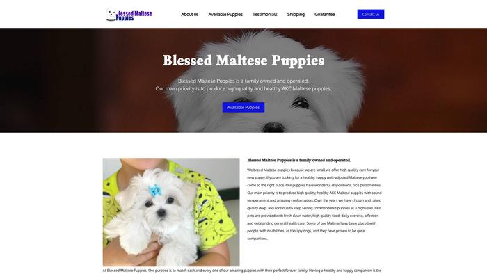 Blessedmaltesespuppies.com - Maltese Puppy Scam Review