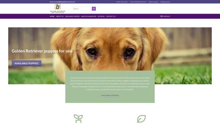 Blissgoldenretriever.com - Golden Retriever Puppy Scam Review