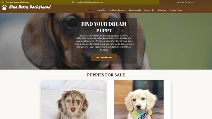 Blueberrydachshund.com - Dachshund Puppy Scam Review