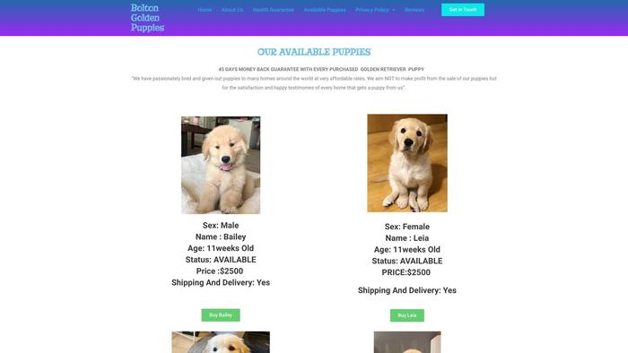 Boltongoldenretriverpuppies.com - Golden Retriever Puppy Scam Review