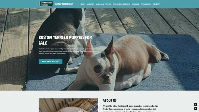 Bostonterrierpuppies.org - Terrier Puppy Scam Review