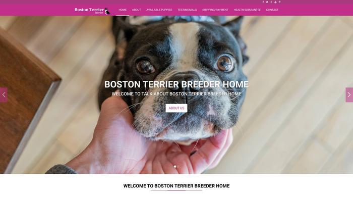 Bostonterriersbreeder.com - Boston Terrier Puppy Scam Review