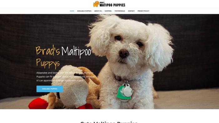 Bradsmaltipoos.com - Maltipoo Puppy Scam Review