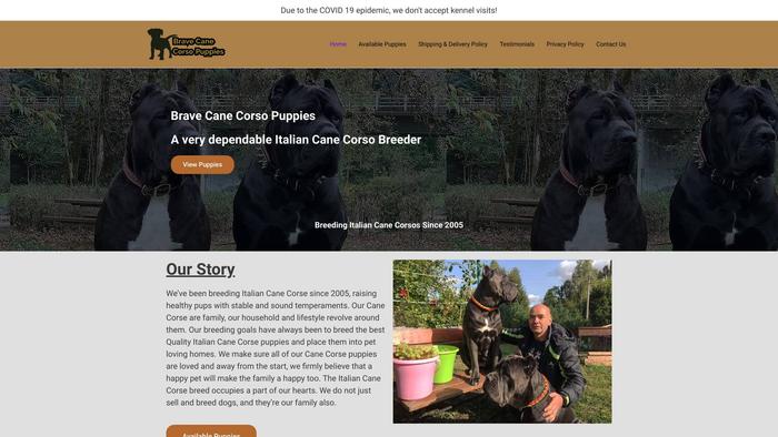 Bravecanecorsopuppies.com - Cane Corso Puppy Scam Review