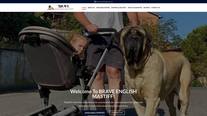 Braveenglishmastiff.com - Tibetan Mastiff Puppy Scam Review