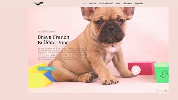 Bravefrenchiespups.com - French Bulldog Puppy Scam Review