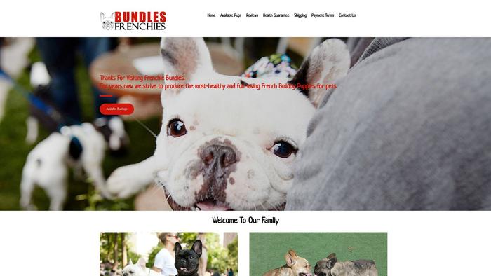 Bundlesfrenchies.com - French Bulldog Puppy Scam Review