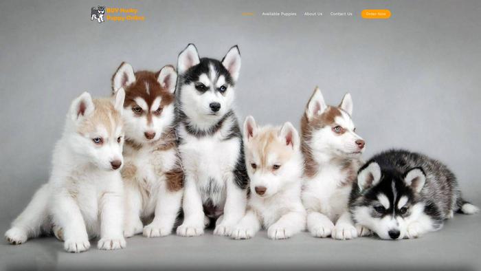 Buyhuskypuppyonline.com - Husky Puppy Scam Review