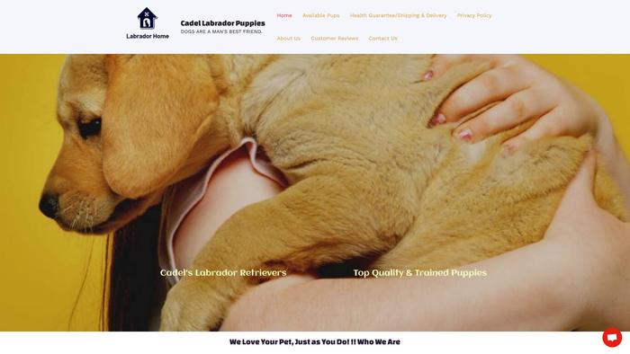 Cadellslabradorpuppies.com - Labrador Puppy Scam Review