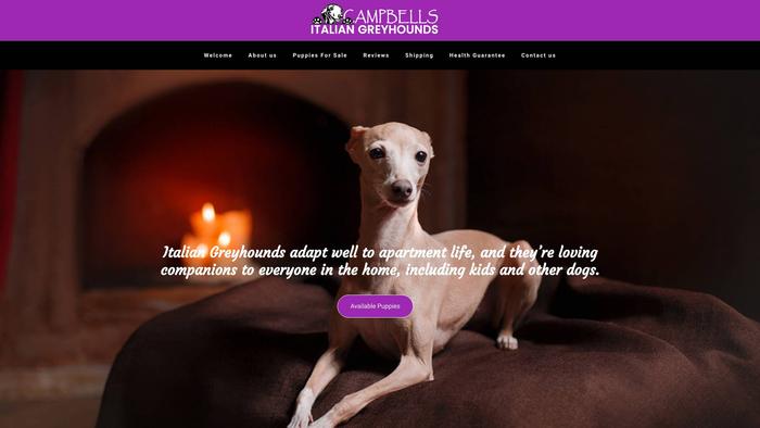 Campbellsitaliangreyhounds.com - Labrador Puppy Scam Review