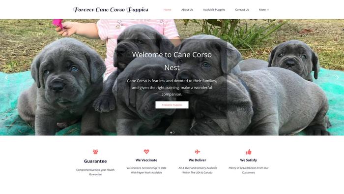 Canecorsonest.com - Cane Corso Puppy Scam Review