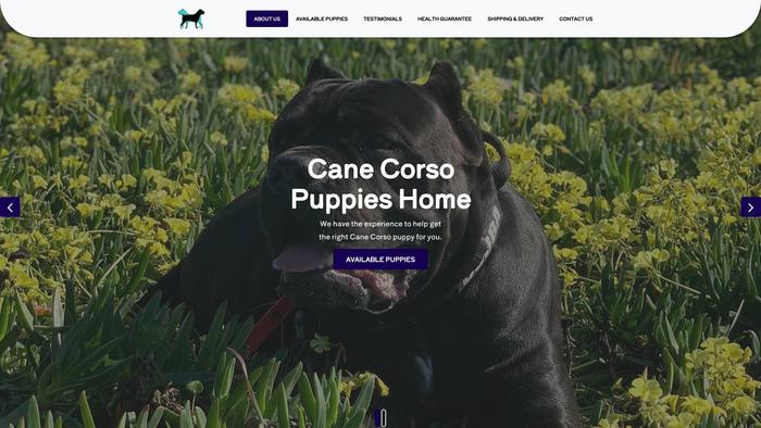 Canecorsopuppieshome.com - Cane Corso Puppy Scam Review