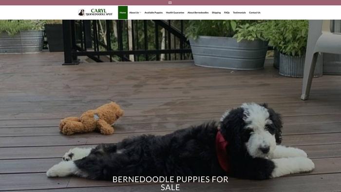 Carylbernedoodlespot.com - Bernedoodle Puppy Scam Review