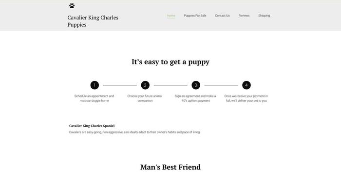 Cavalierkingcharles.shop - Cavalier King Charles Spaniel Puppy Scam Review