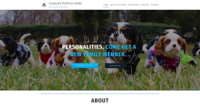 Cavalierkingcharlsespanielonline.com - Cavalier King Charles Spaniel Puppy Scam Review