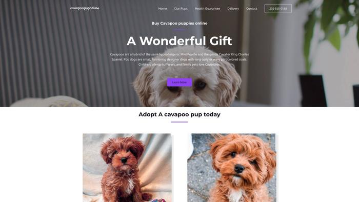 Cavapoopuponline.com - Cavapoo Puppy Scam Review