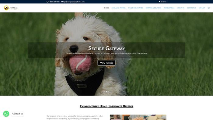 Cavapoopuppyhome.com - Cavapoo Puppy Scam Review