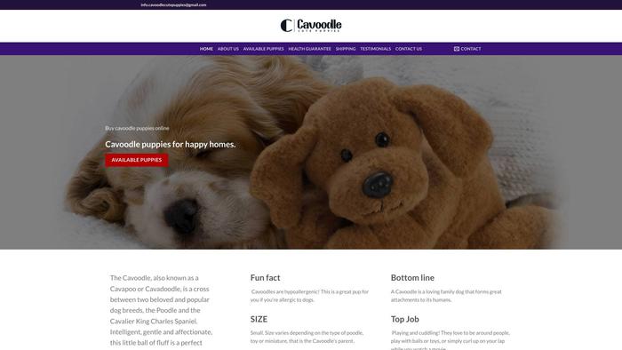 Cavoodlecutepuppies.com - Cavapoo Puppy Scam Review