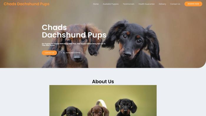 Chadsdachshundpups.com - Dachshund Puppy Scam Review