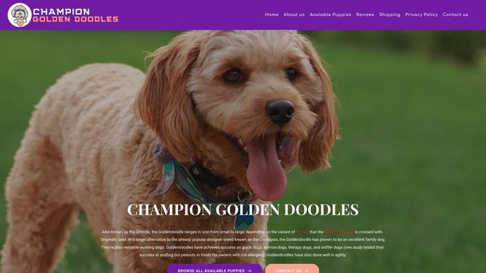 Championgoldendoodlepuppies.com - Golden Doodle Puppy Scam Review