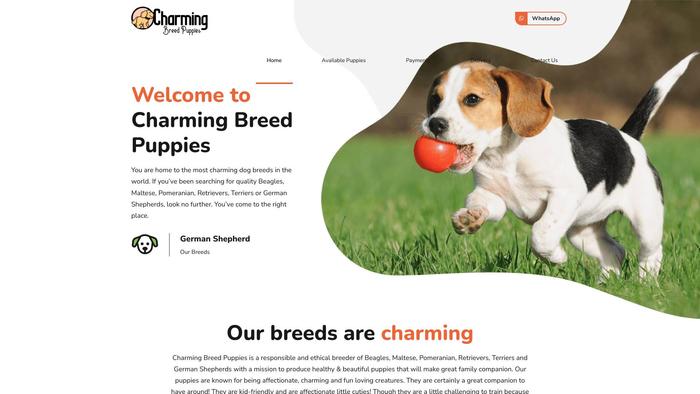 Charmingbreedpuppies.com - Beagle Puppy Scam Review