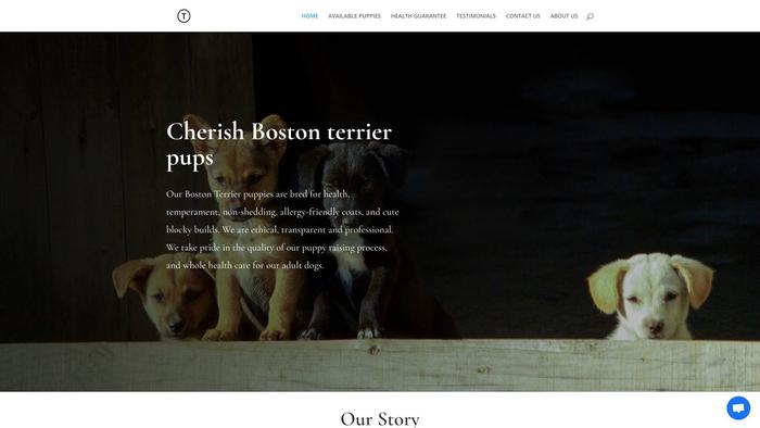 Cherishbostonterrierpups.com - Terrier Puppy Scam Review