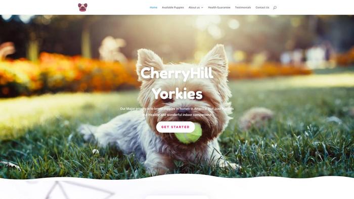 Cherryhillyorkies.com - Yorkshire Terrier Puppy Scam Review