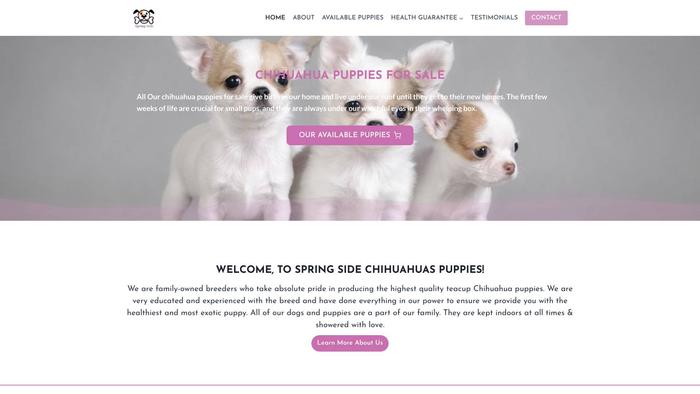 Chihuahuapuppiesforsale1.com - Chihuahua Puppy Scam Review