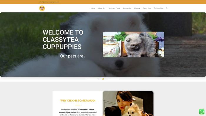 Classyteacuppuppies.com - Yorkshire Terrier Puppy Scam Review