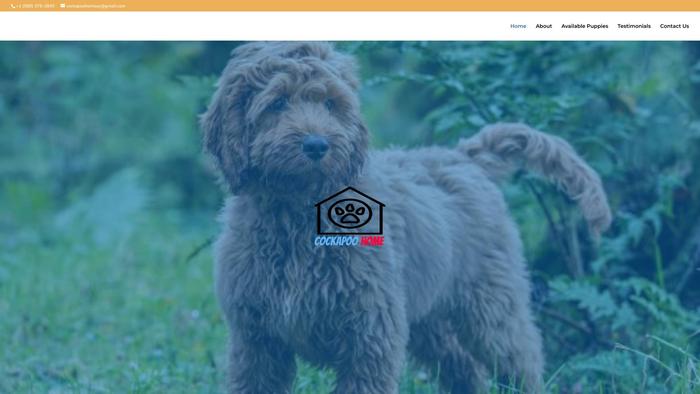 Cockapoohomeus.com - Cockapoo Puppy Scam Review