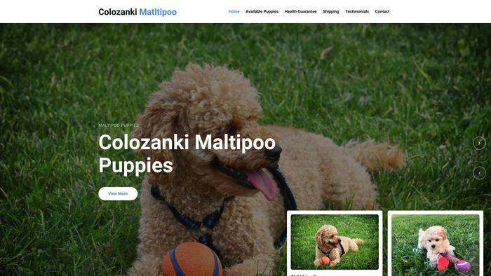 Colozankimaltipoopuppies.com - Maltipoo Puppy Scam Review