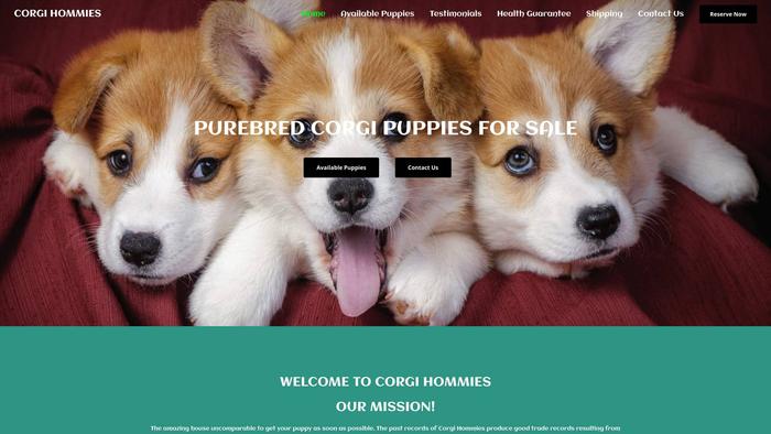 Corgihommies.com - Corgi Puppy Scam Review