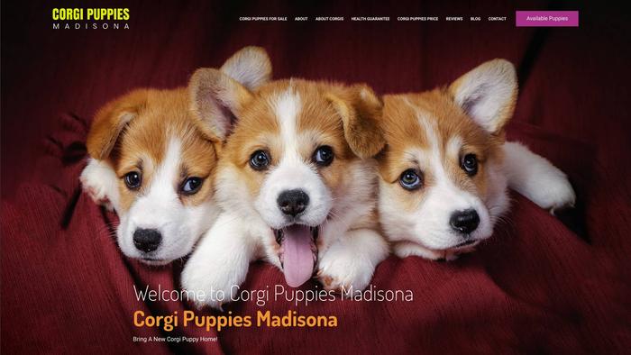 Corgipuppiesmadisona.com - Corgi Puppy Scam Review