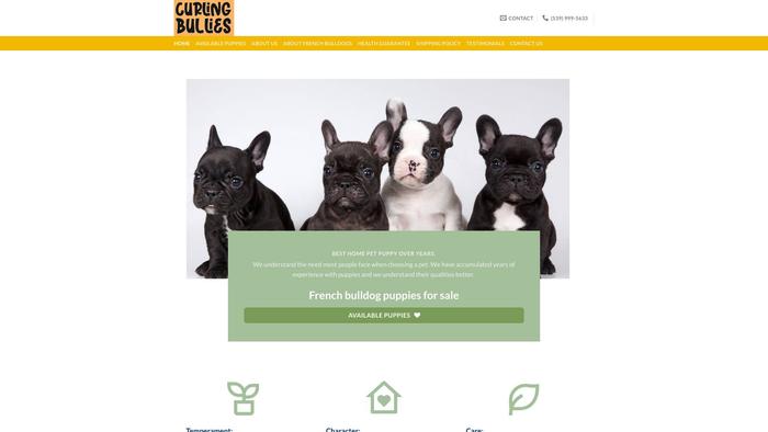 Curlingbullies.com - French Bulldog Puppy Scam Review