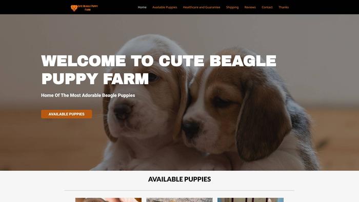 Cutebeaglepuppyfarm.com - Beagle Puppy Scam Review