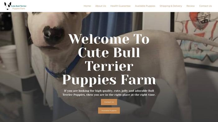 Cutebullterrierpuppiesfarm.com - Terrier Puppy Scam Review