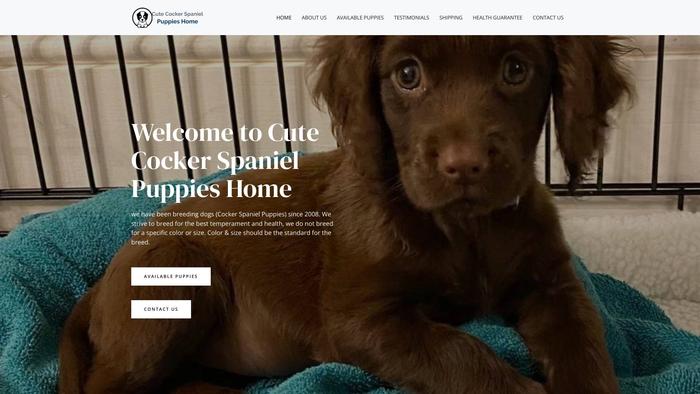 Cutecockerspanielpuppieshome.com - Cockerspaniel Puppy Scam Review