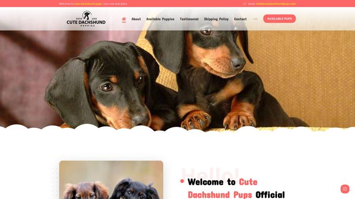 Cutedachshundpups.com - Dachshund Puppy Scam Review