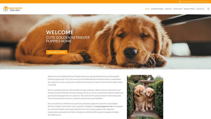 Cutegoldenretrieverpuppieshome.com - Golden Retriever Puppy Scam Review