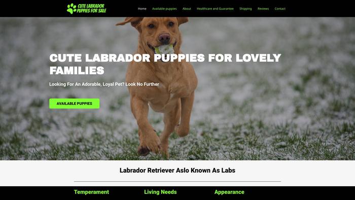 Cutelabradorpuppiesforsale.com - Labrador Puppy Scam Review