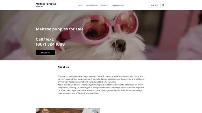 Cuteparadisemaltese.com - Maltese Puppy Scam Review