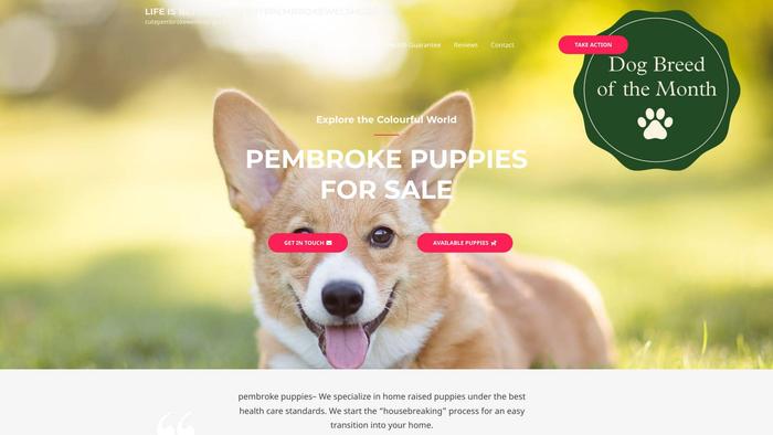 Cutepembrokewelshcorgi.com - Corgi Puppy Scam Review