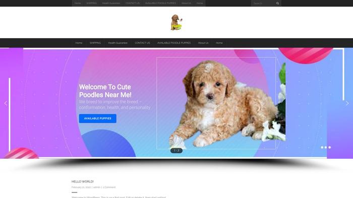 Cutepoodlepuppies.dog - Poodle Puppy Scam Review