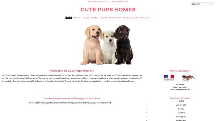 Cutepupshomes.com - Pomeranian Puppy Scam Review