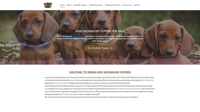 Cutespupsforsale.com - Dachshund Puppy Scam Review