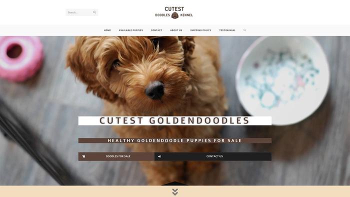 Cutestdoodleskennel.com - Labradoodle Puppy Scam Review