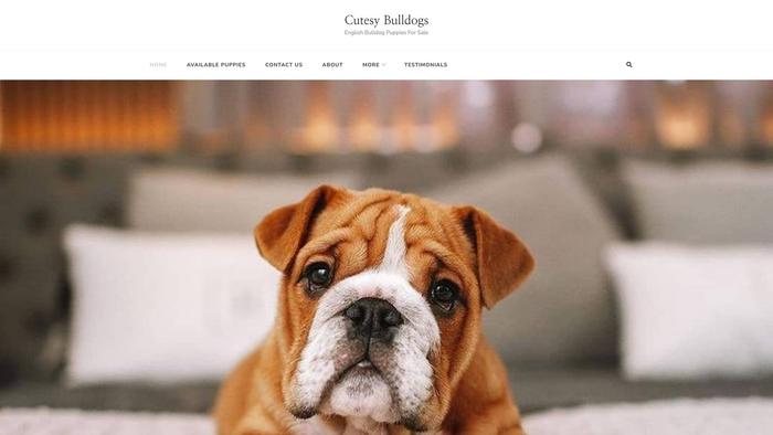 Cutesybulldogs.com - English Bulldog Puppy Scam Review