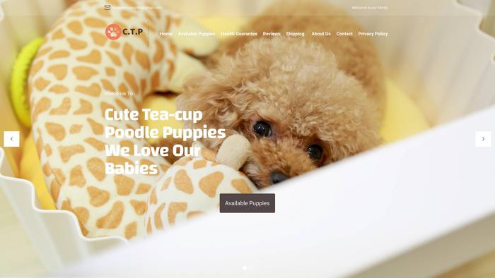 Cuteteacuppoodlepuppies.com - Poodle Puppy Scam Review